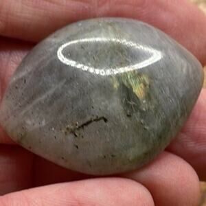 Labradorite Petal - #5